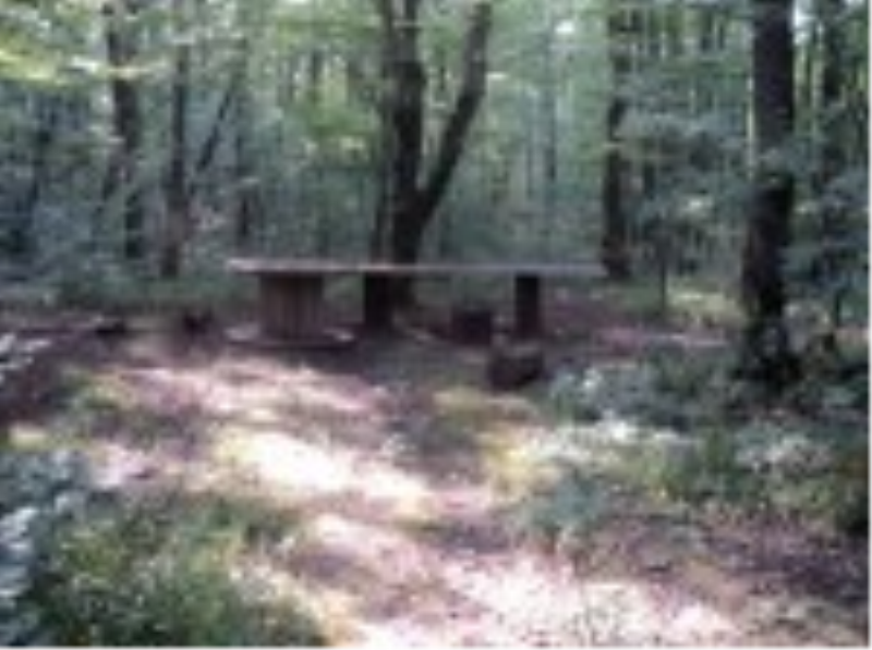 dsc01061.jpg