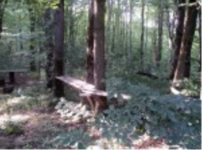 dsc01060.jpg